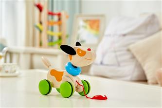 Pintoy vetolelu koiranpentu (alkaen 12 kk)-5