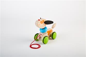 Pintoy vetolelu koiranpentu (alkaen 12 kk)-6