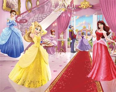 Prinsessat tapetti 243 x 305 cm (malli 2022)-2