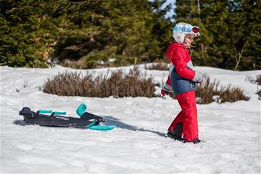 Skipper Kelkka ohjauspyörällä, Titan Blue-5