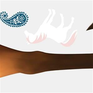 Spirit Horse Iso Seinätarra-5