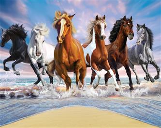 Villihevoset tapetti 243 x 305 cm-2