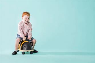 Wheely Bug Suuri Mehiläinen-5